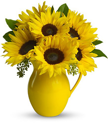 Sunny Day Pitcher of Sunflowers from Mona's Floral Creations, local florist in Tampa, FL